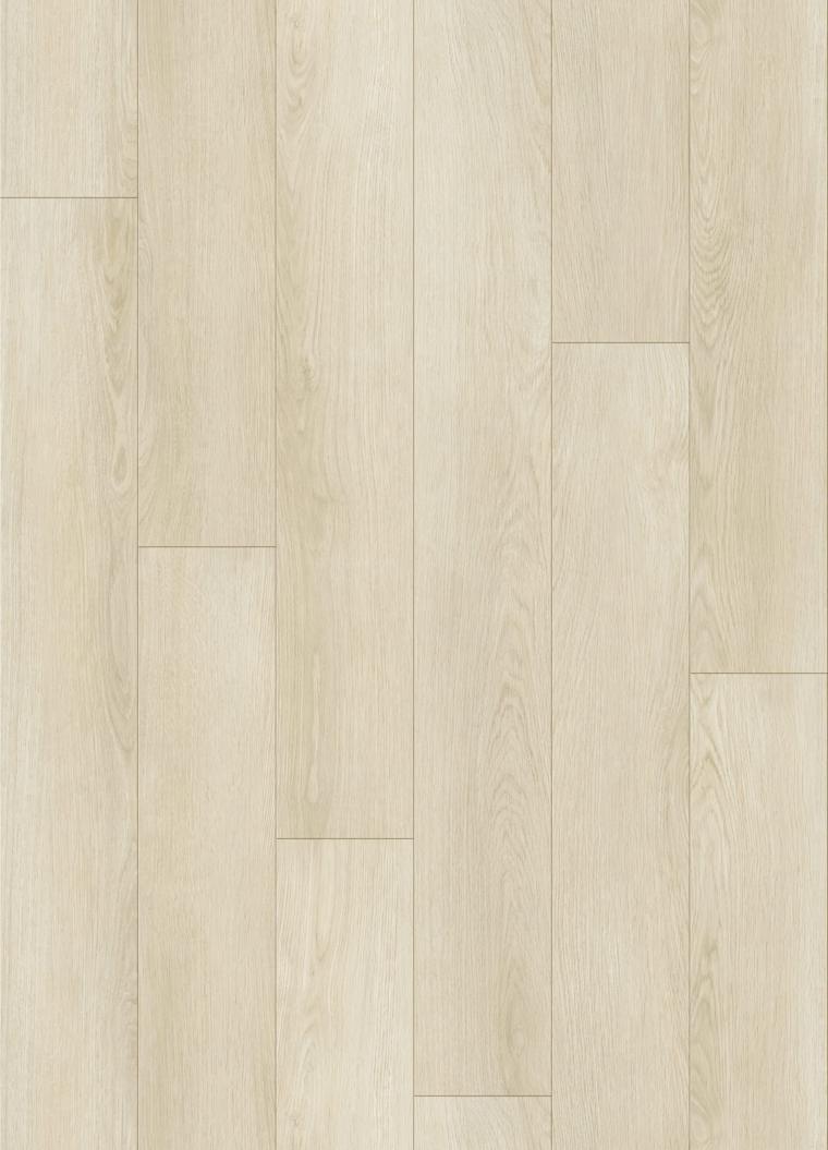 Palm Beige